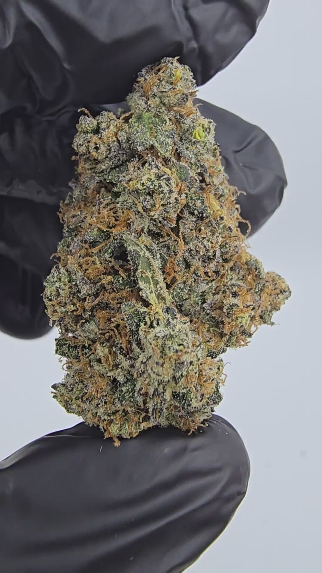 Load video: Vanilla Wafers | First Cut Exclusive | Flower | 28 Gram Packs