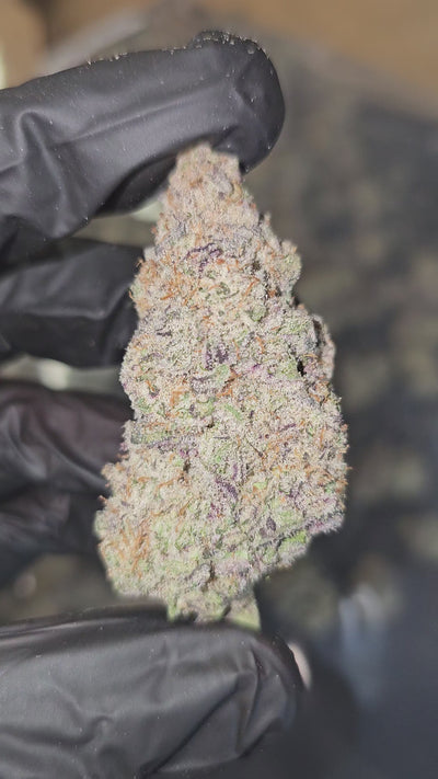 Junior MAC | First Cut Exotics | Flower | 34.39%