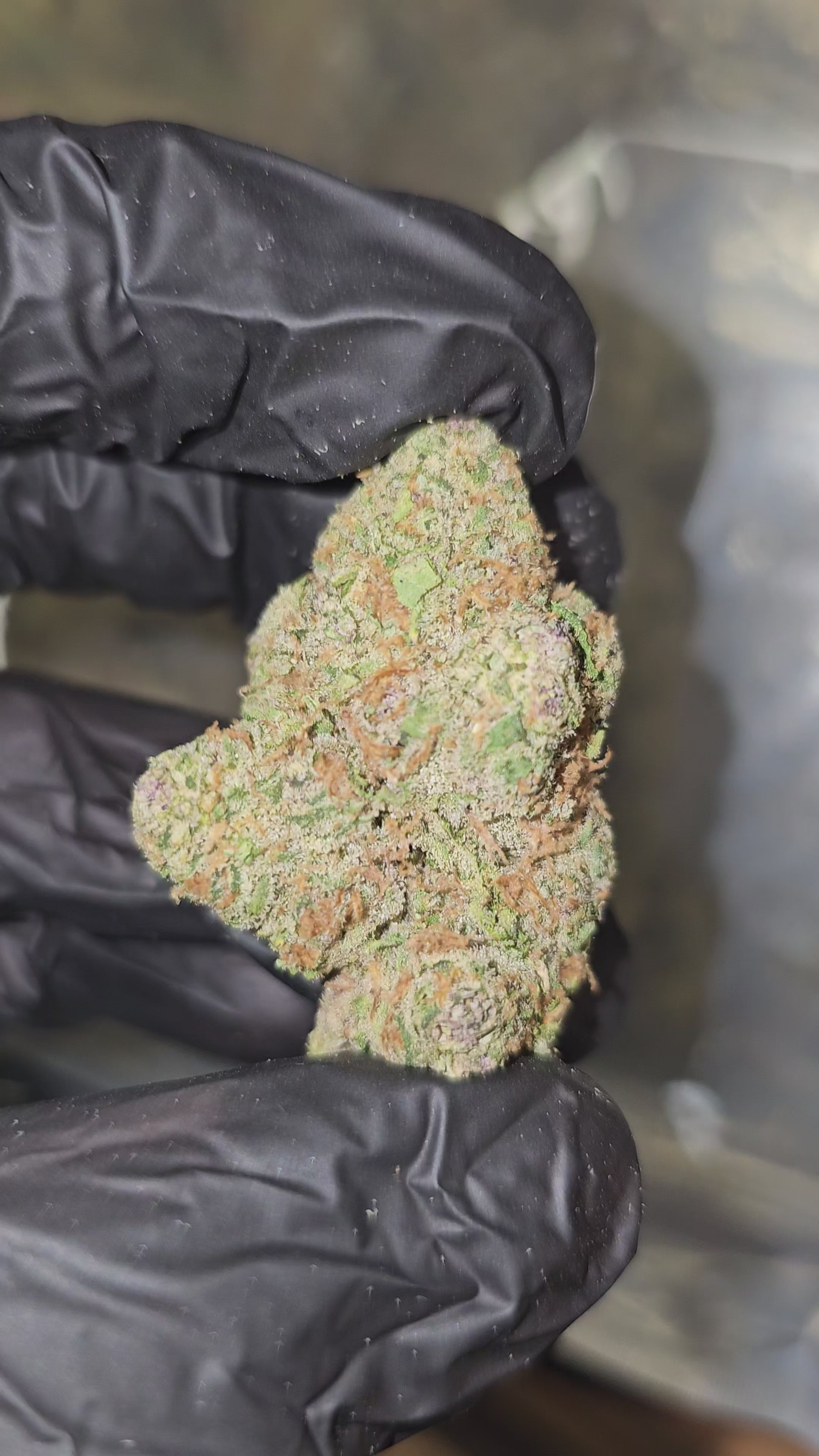 LA Pop Rocks | Top Shelf | Flower