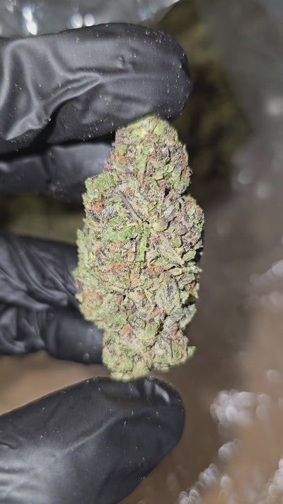 Blueberry Muffin | Budget Shelf | 31% | Flower | On Sale