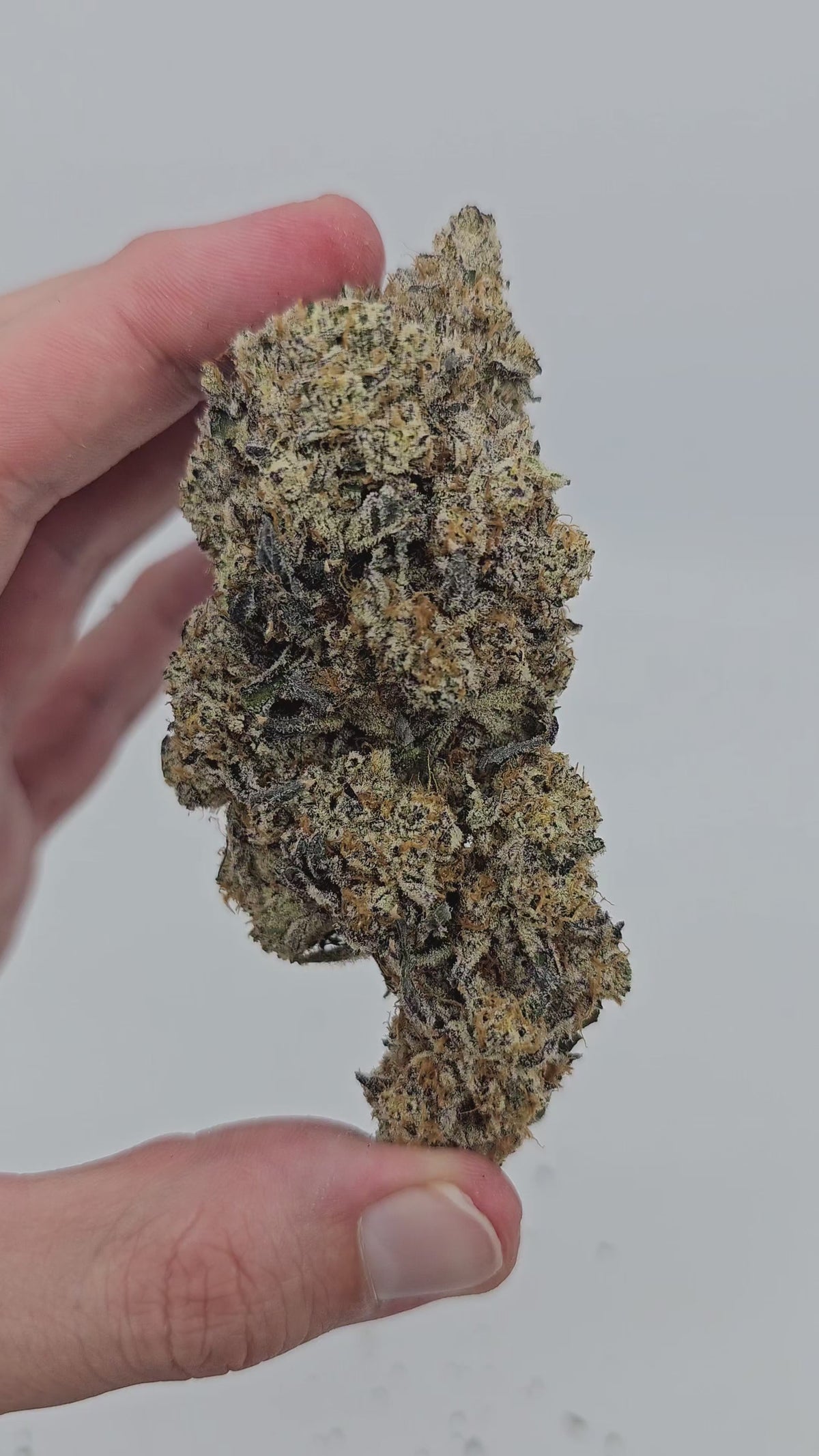 Load video: Money Maker | First Cut Exotics | 34% Flower | On Sale