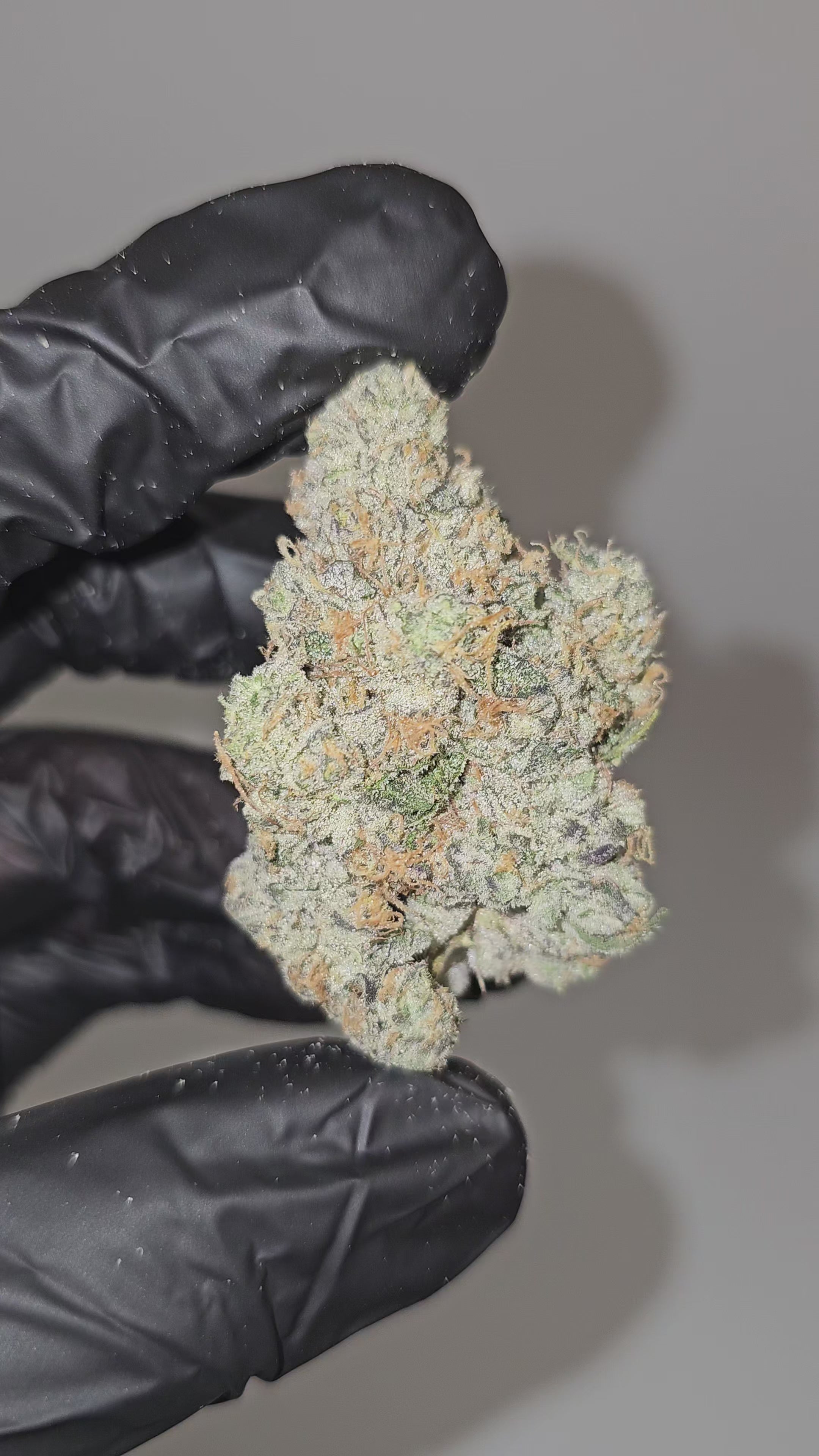 Load video: Sour Diesel | First Cut Exotics | Flower