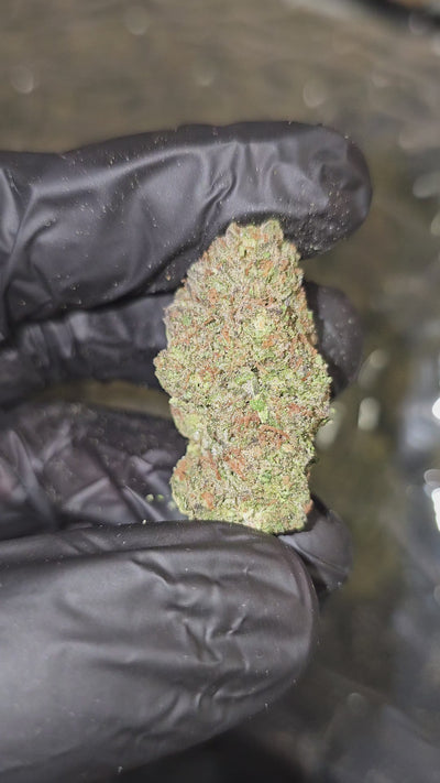 Super Runtz | Budget Top Shelf | 32% | Flower | On Sale