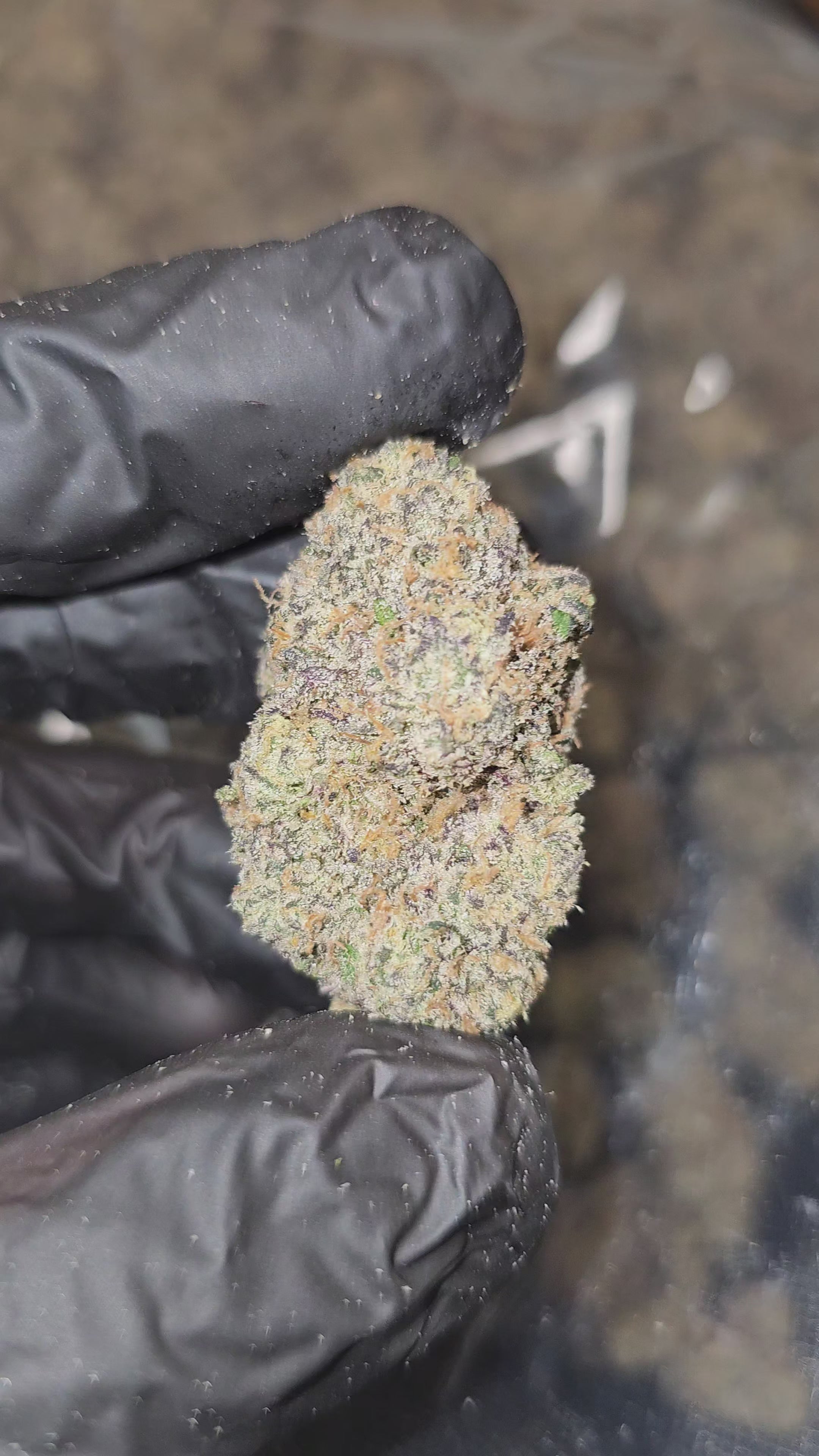 Load video: Diesel's Funk | First Cut Exotics | Flower | 31%