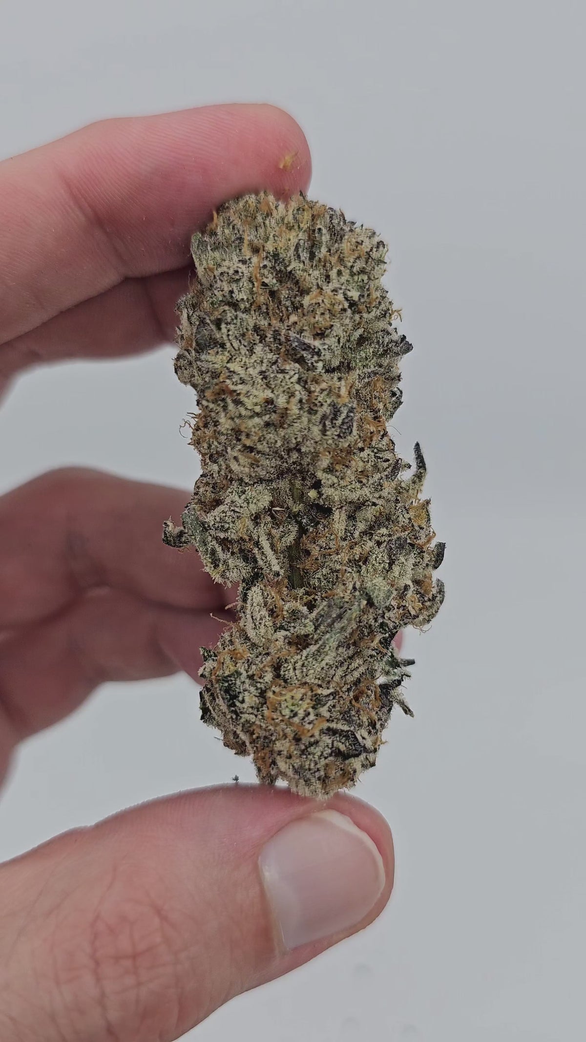 Money Maker | First Cut Exotics | 34% Flower | On Sale
