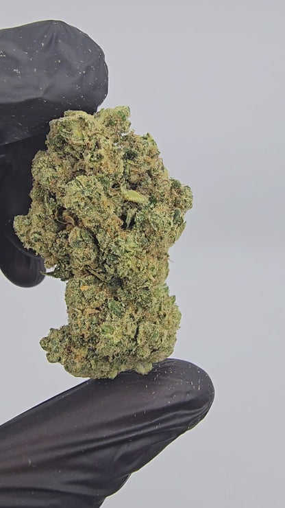 Tahoe OG | Top Shelf | Flower