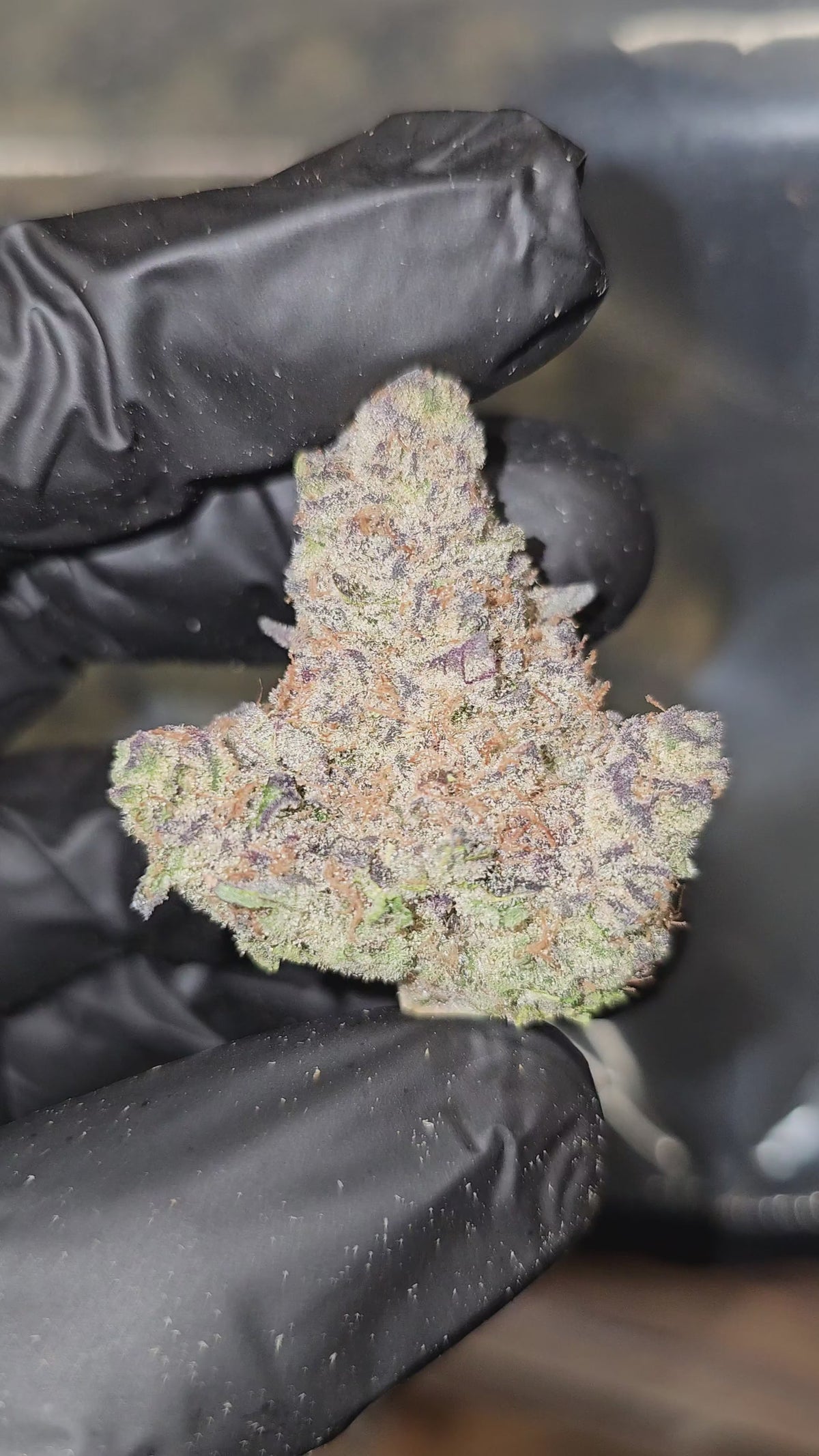 BlockBerry | First Cut Exotics | Flower | 33.83%