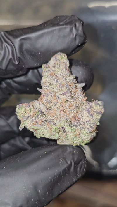 BlockBerry | First Cut Exotics | Flower | 33.83%