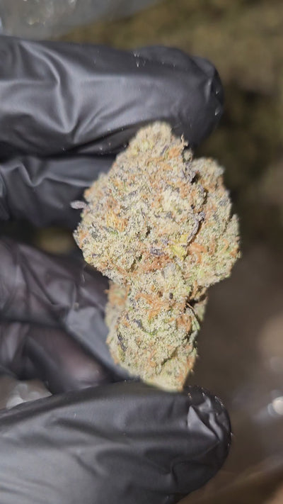 Brass Monkey | Boutique Exotics | Flower