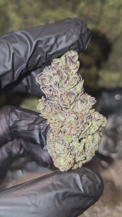 Banana Killer | Top Shelf | Flower