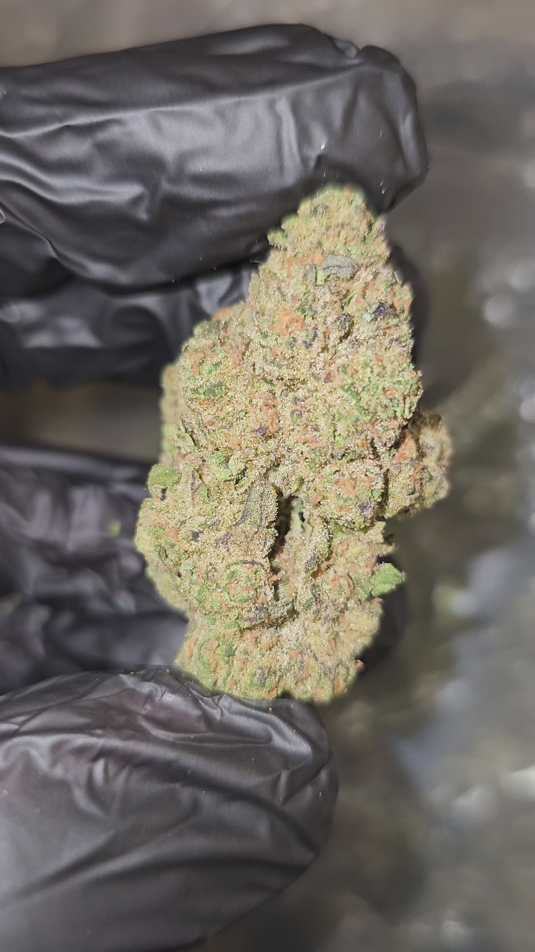 Crush Mintz | Top Shelf | Flower