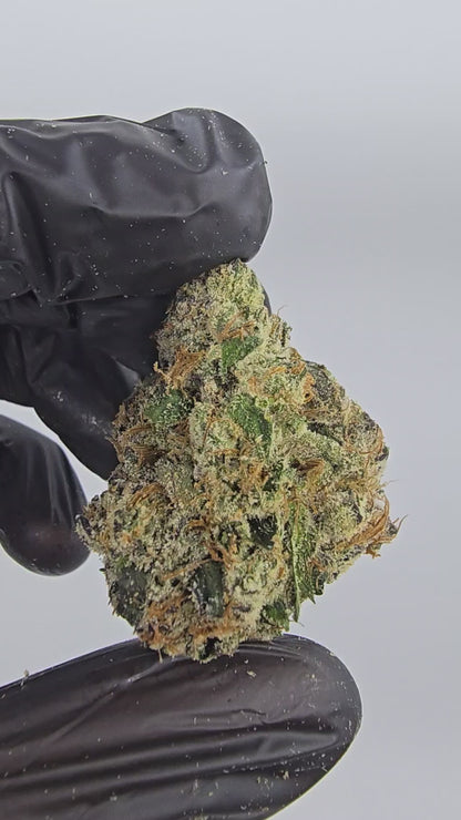 Blue Nerds | First Cut Exotics | Flower