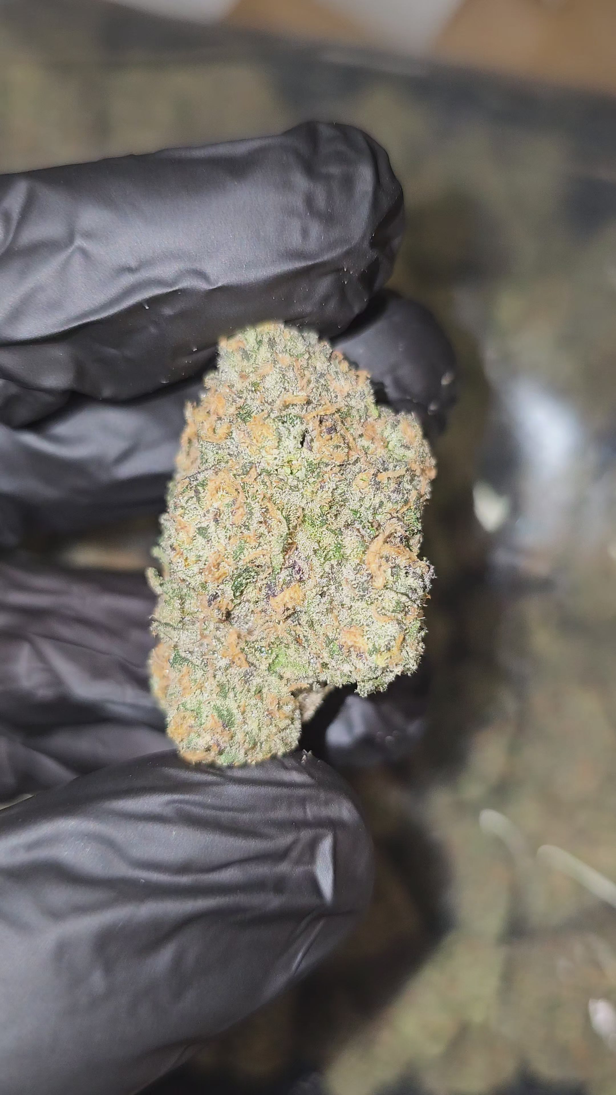 Load video: Mark's Alot 3 | Boutique Exotics | Flower