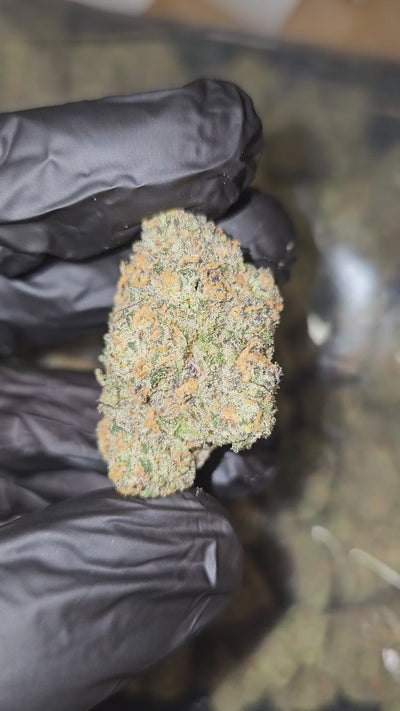 Mark's Alot 3 | Boutique Exotics | Flower