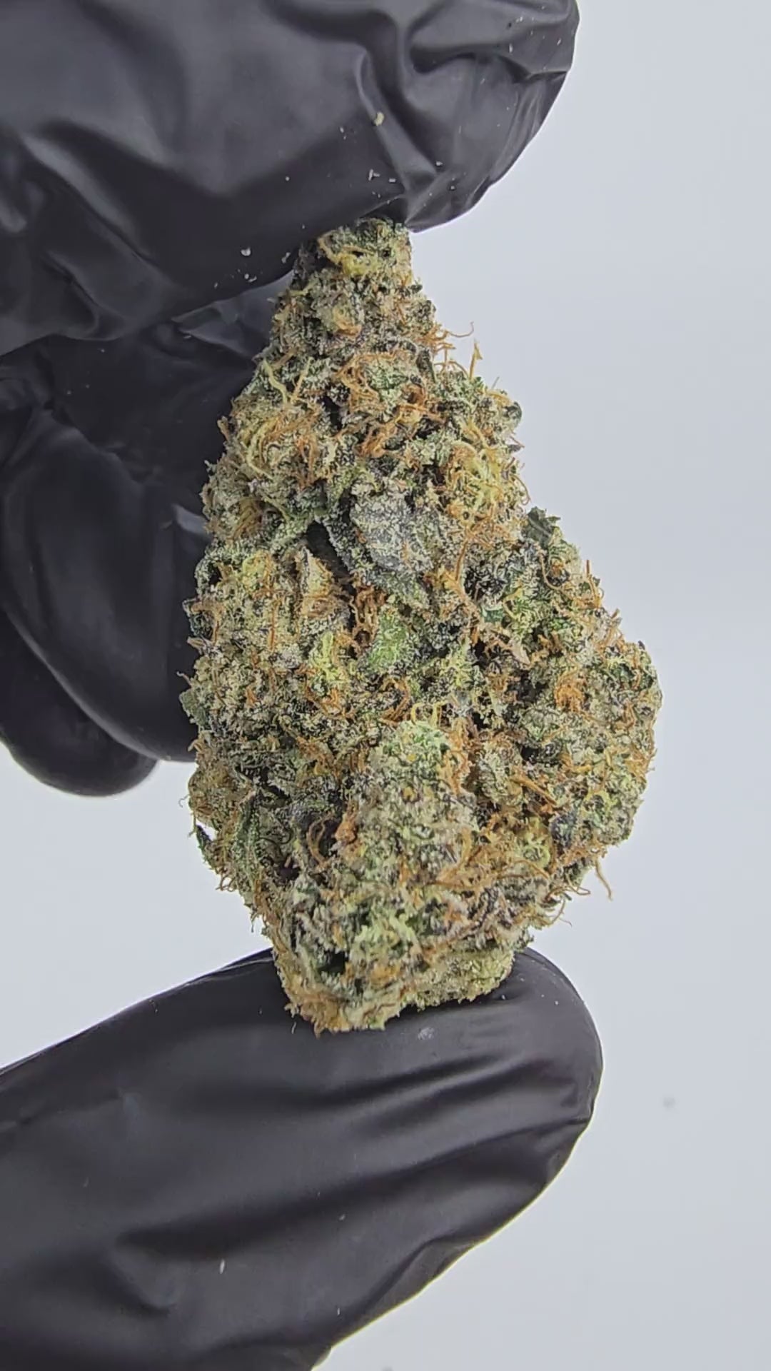 Load video: Vanilla Wafers | First Cut Exclusive | Flower | 28 Gram Packs