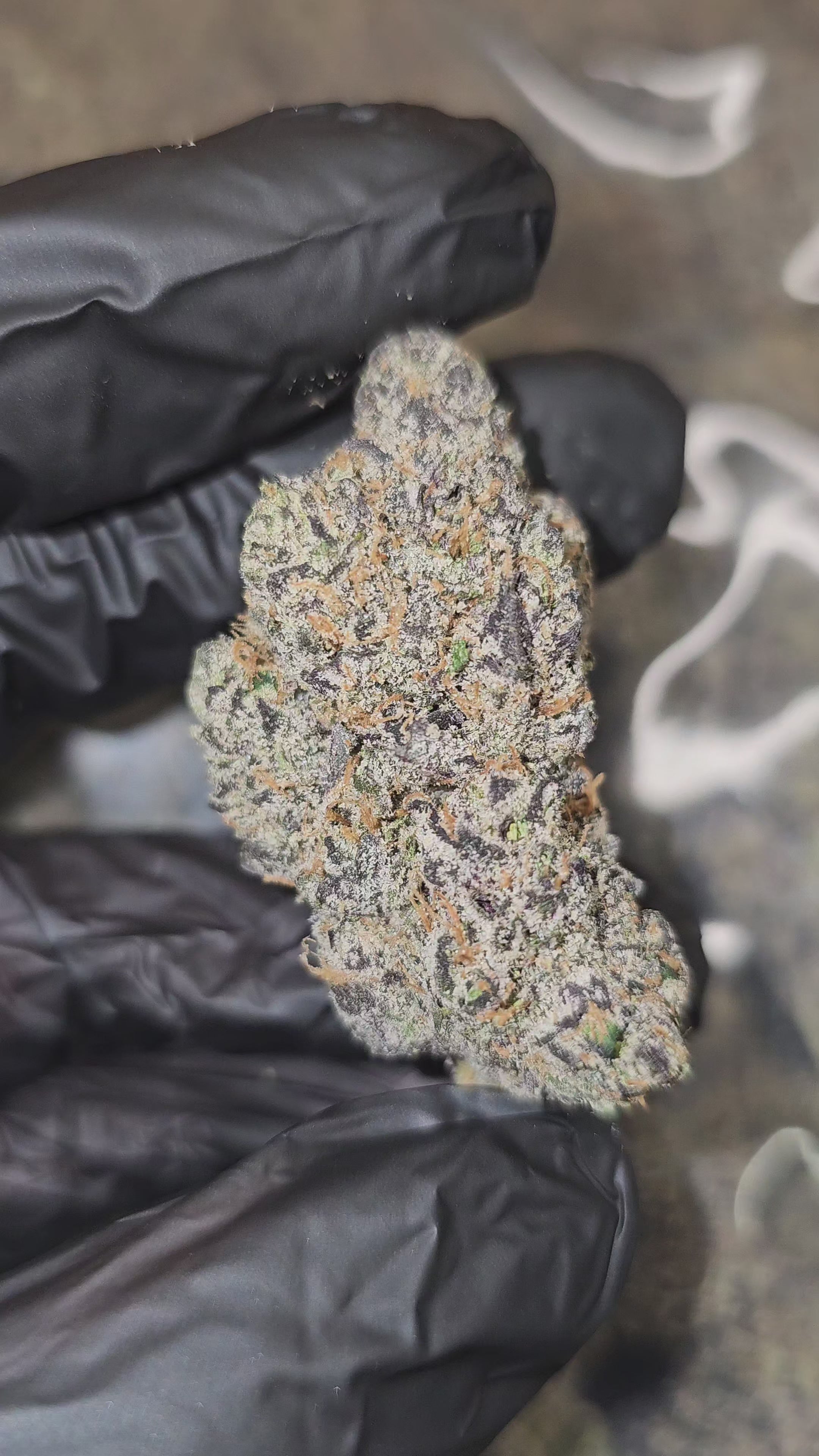 Load video: Super Runtz | First Cut Exclusive | Flower | 7g Packs