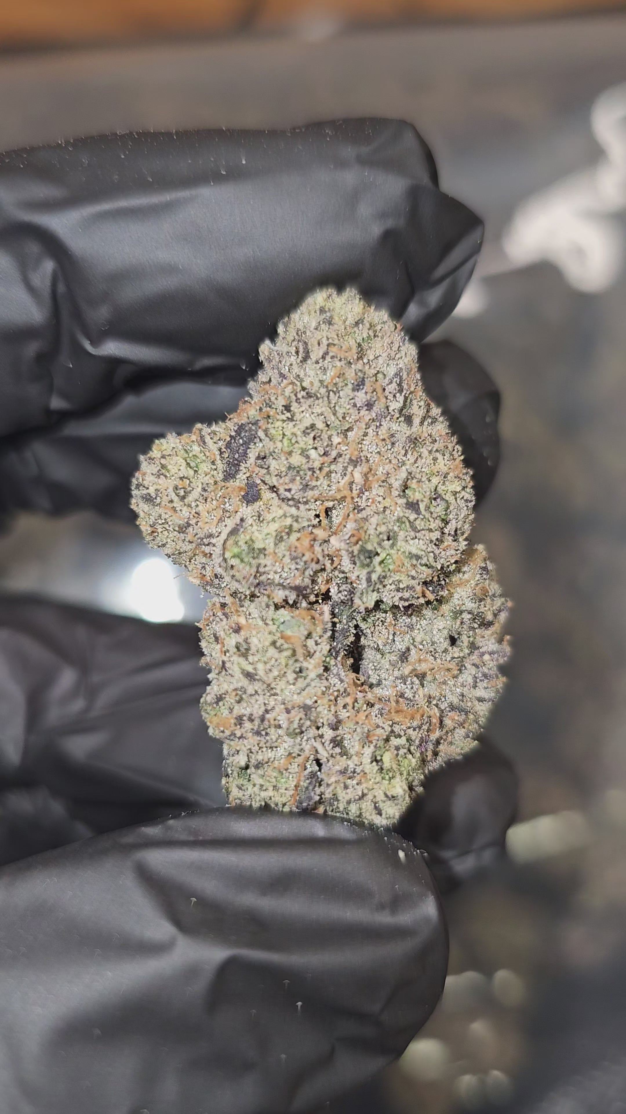 Load video: Purple Push Pops | First Cut Exotics | Flower | ON SALE