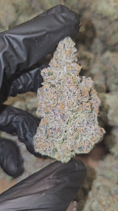 Super Boof | First Cut Exclusive | Flower