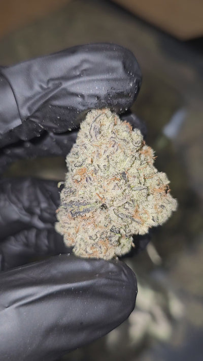 Banana MAC | First Cut Exotics | Flower