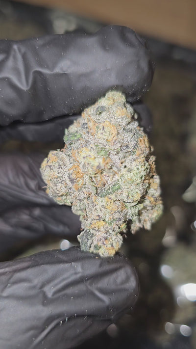 Candy Cartel | First Cut Exotics | Flower