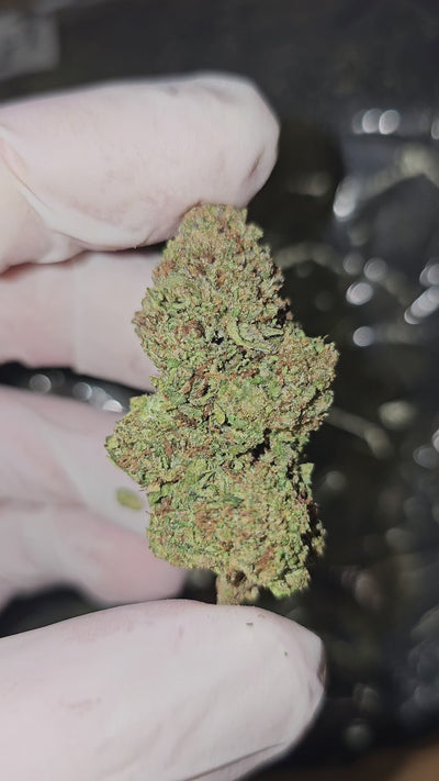 Bubblegum Gelato | Top Shelf | 29% | Flower | On Sale