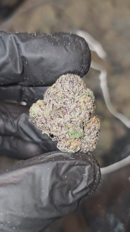 Gaz Money | First Cut Exotics | Flower | 30%