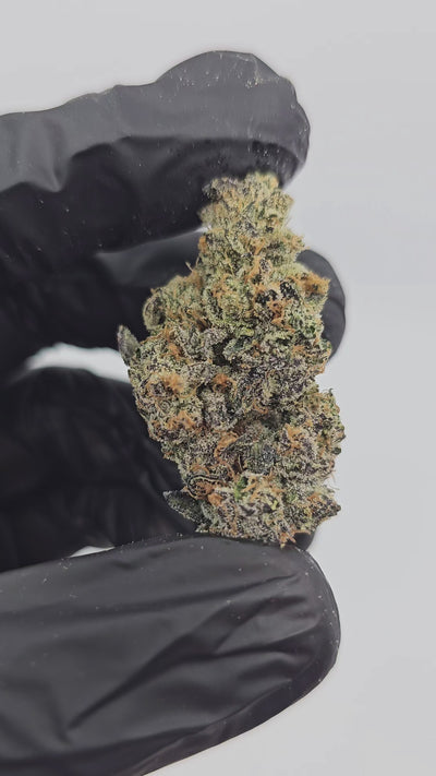 Peanut Butter Cookies | First Cut Exotics | 31% | Flower