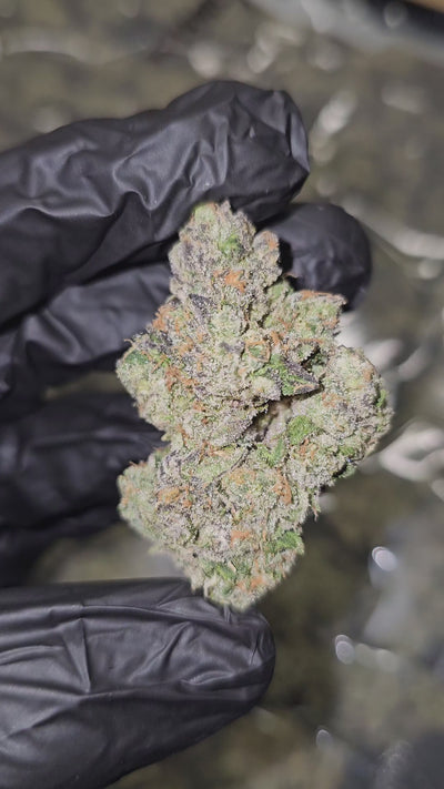 Toad Venom | First Cut Exotics | Flower