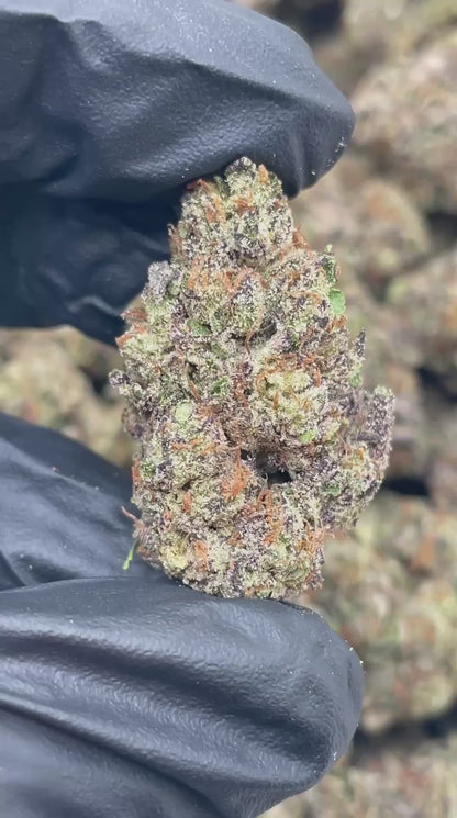 Sweet Tarts | Boutique Tier | Flower | ON SALE