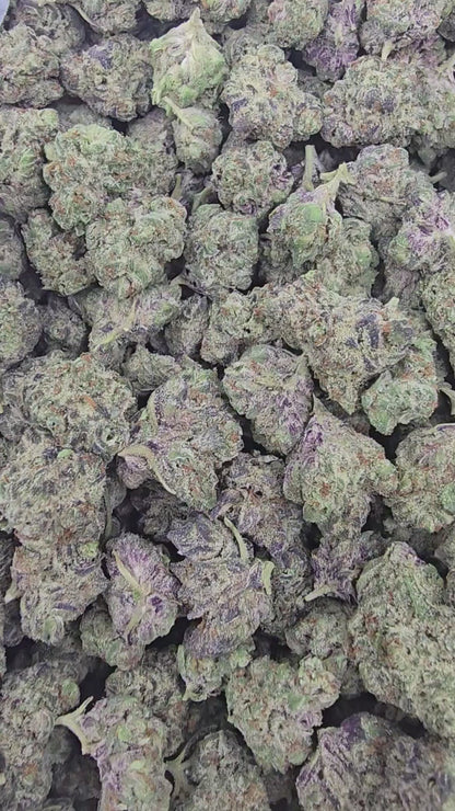 Shadow Cookies | Boutique Exotics | Flower