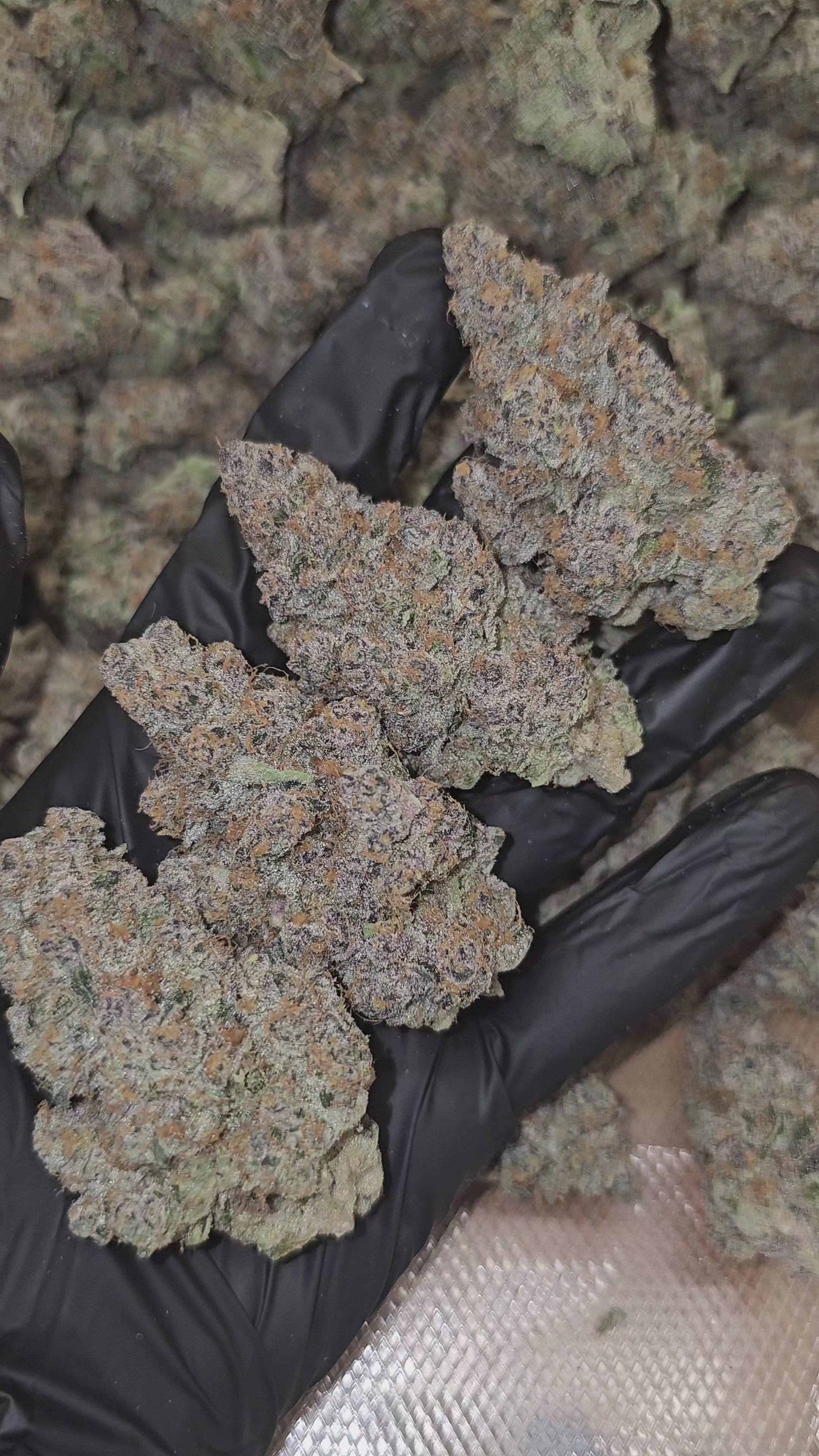 Super Boof | First Cut Exclusive | Flower