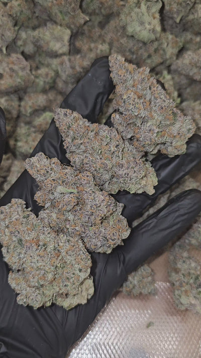 Super Boof | First Cut Exclusive | Flower