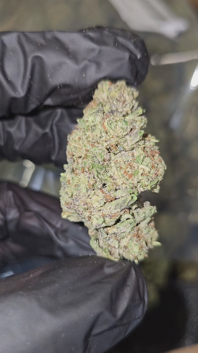 Lemonatti | Top Shelf | Flower | On Sale