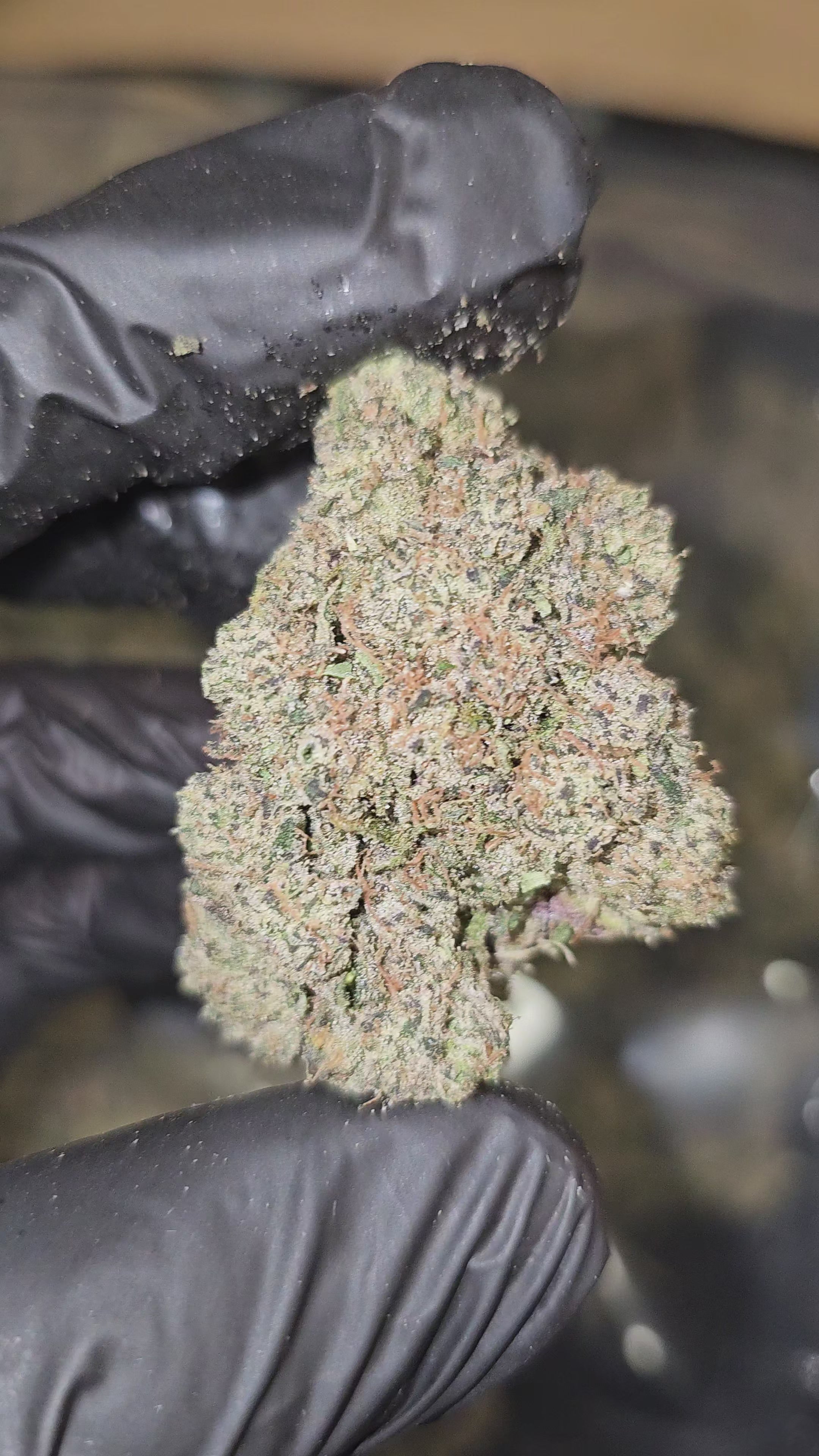 Blue Toe Jam | First Cut Exotics | Flower | ON SALE