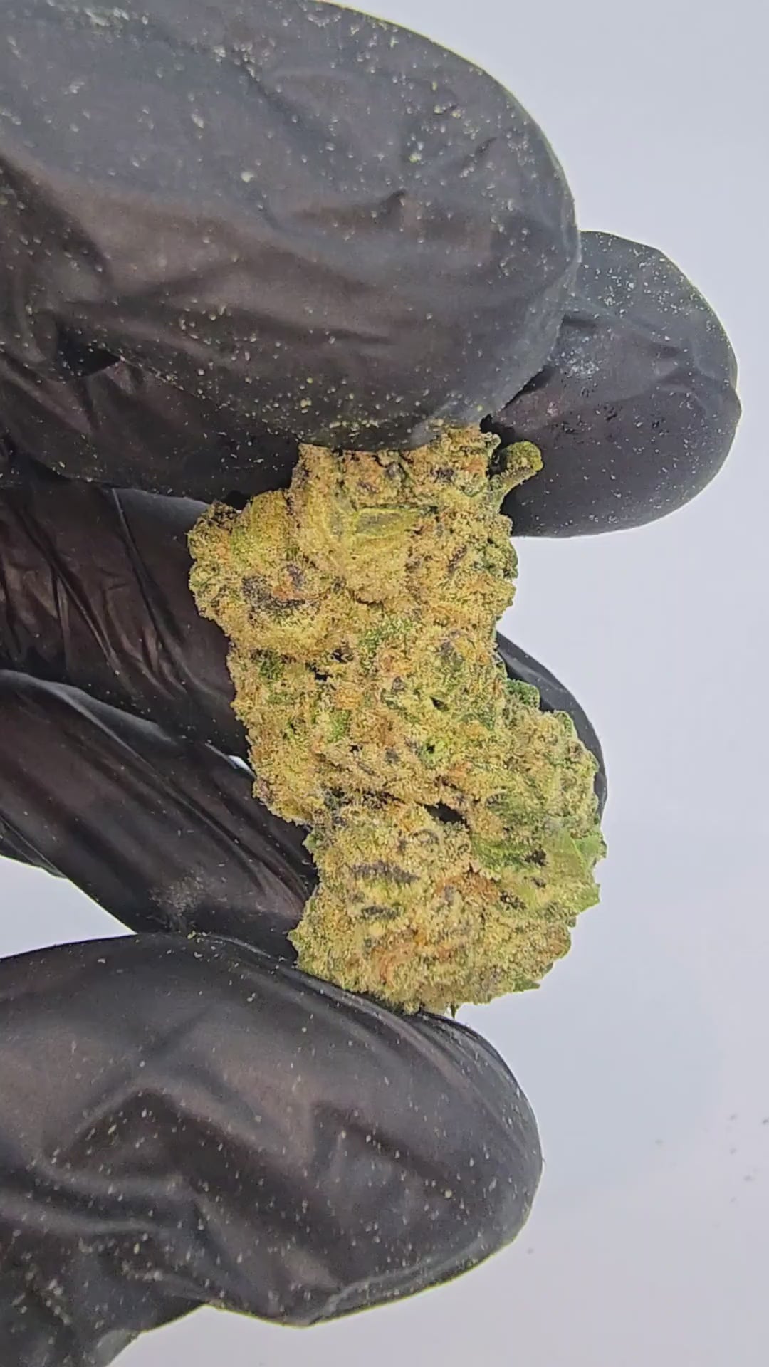 Punch Breath | Top Tier | Flower