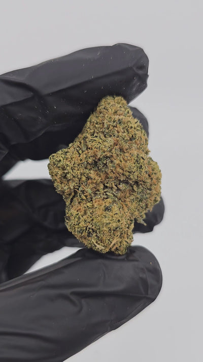 Sour Power OG | Top Shelf | Flower