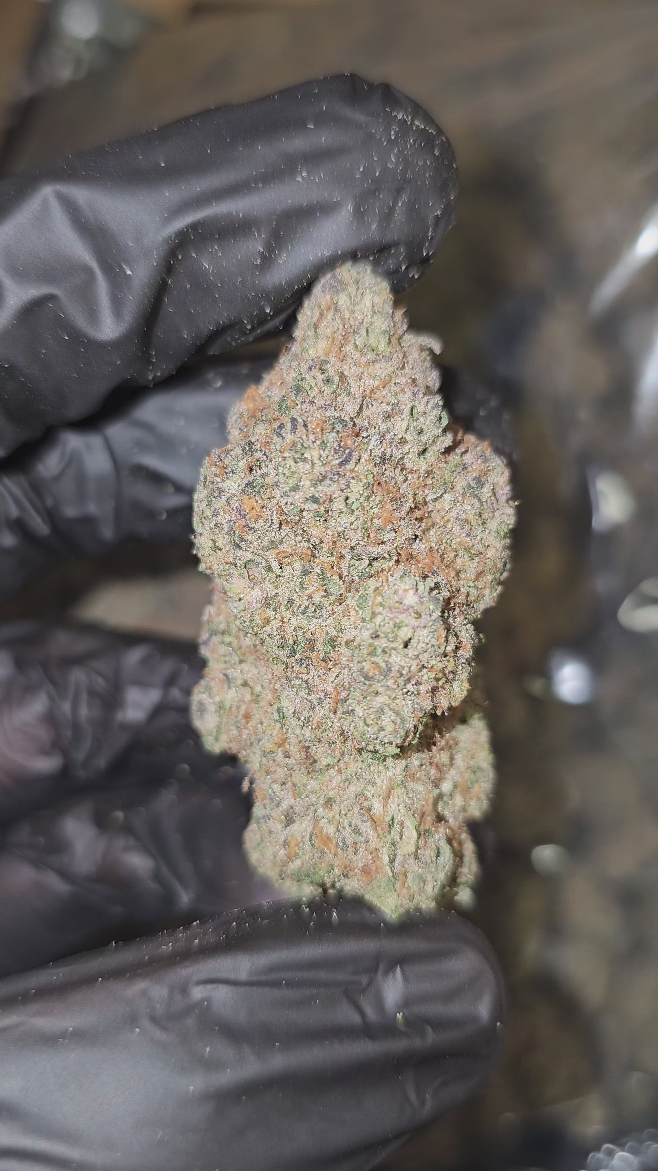 Big League Chew | Boutique Exotics | Flower | On Sale