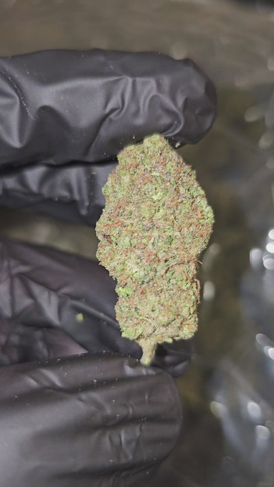 Super Runtz | Budget Top Shelf | 32% | Flower | On Sale