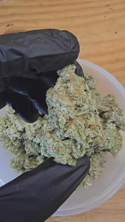 MAC 1 | First Cut Exclusive | Flower