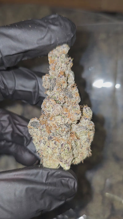 Blueberry Pankcake | First Cut Exotics | Flower | 32.56%