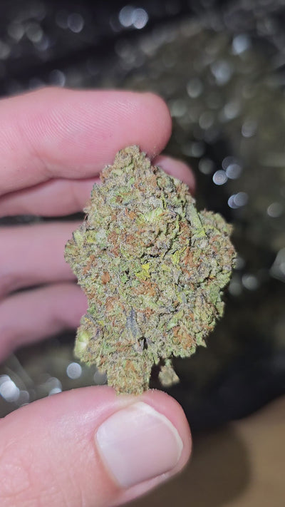 Blue Andeze | Top Shelf Flower | On Sale