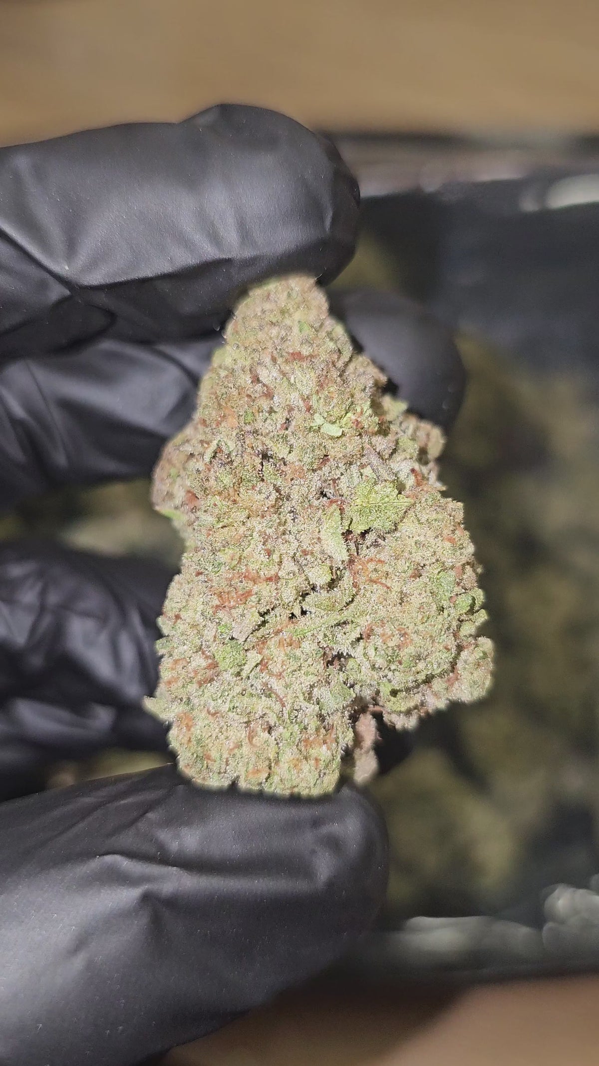Punch Breath | Top Shelf Flower | ON SALE