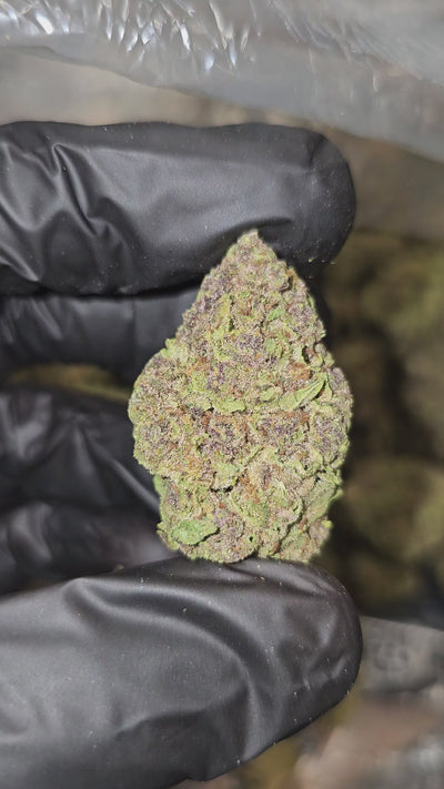 Cherry Pie | Top Shelf | Flower | On Sale