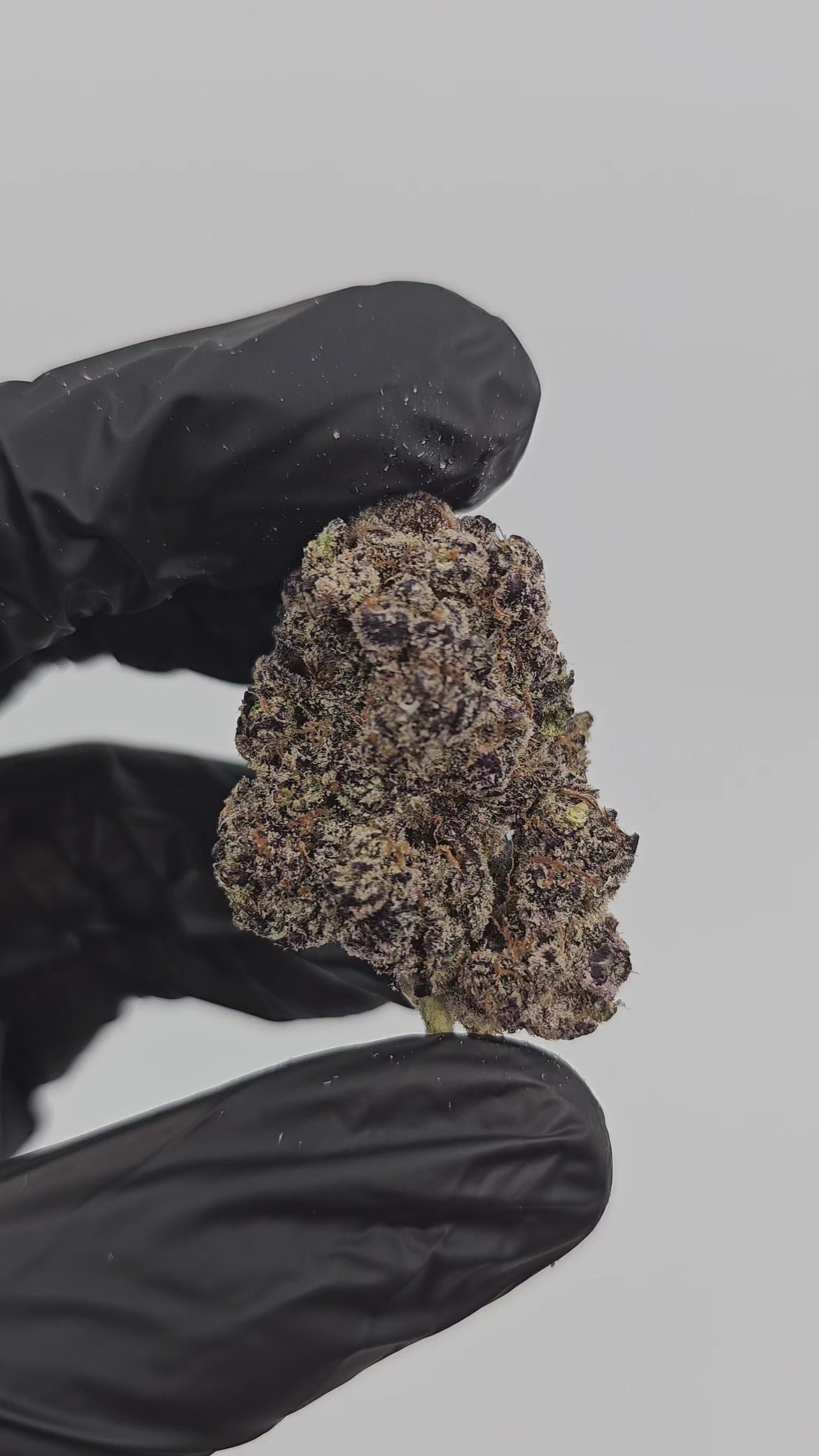 Lizard Burger | First Cut Exotics | Flower | 30.92%