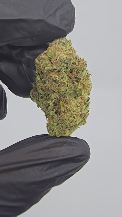 Strawberry Haze | Top Shelf | Flower | ON SALE