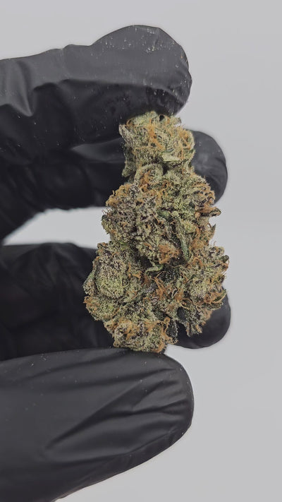 Peanut Butter Cookies | First Cut Exotics | 31% | Flower