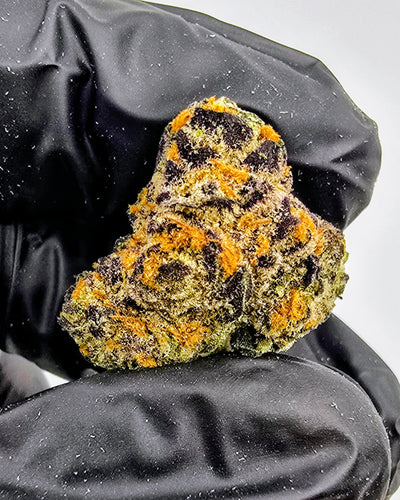 Cadillac Rainbow | "Medium Buds" | Boutique Exotics | Flower | ON SALE