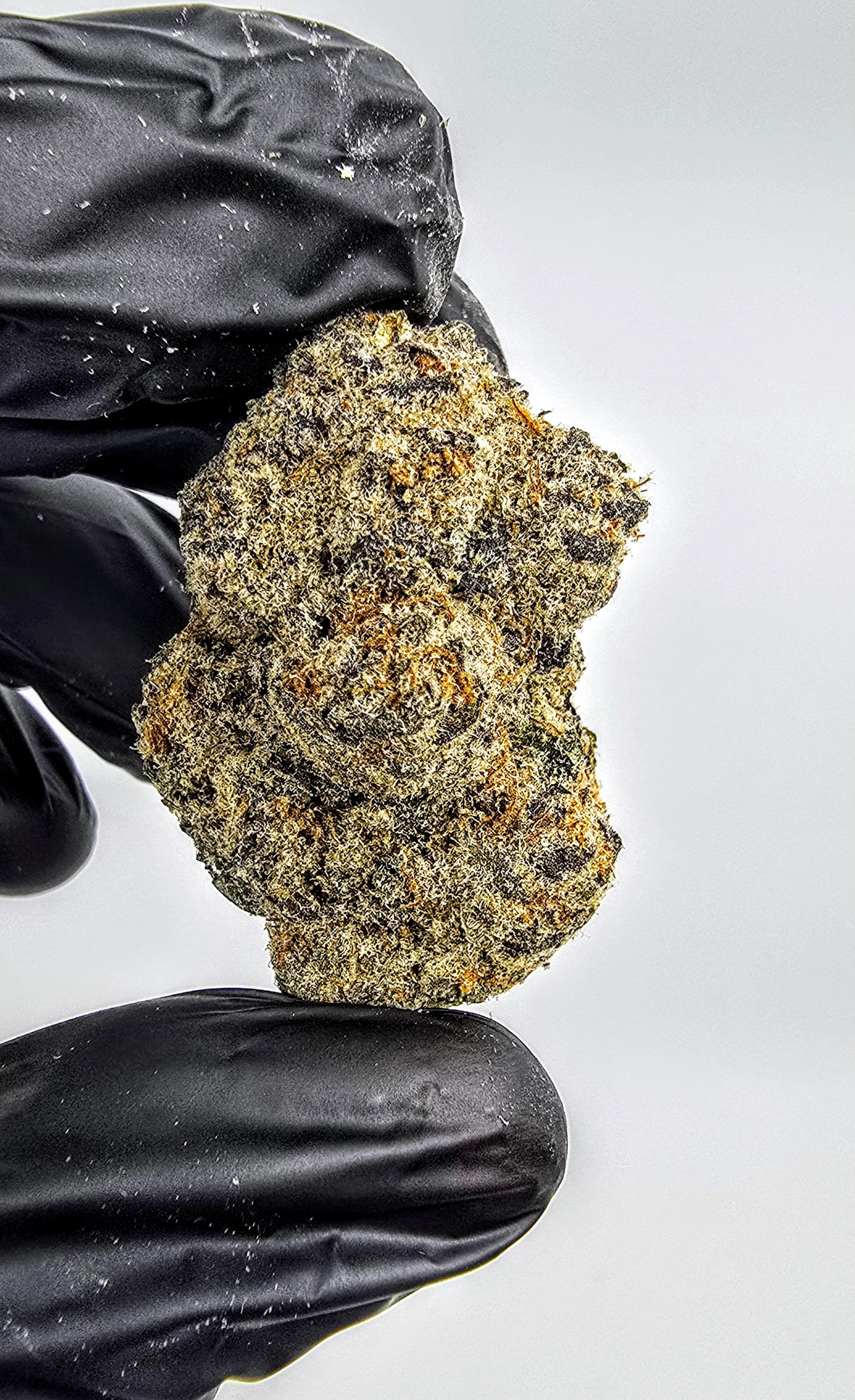 Grandi Candy | Boutique Exotics | Flower | On Sale