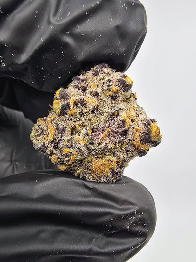 Forbidden Boof | "Medium Buds" | Boutique Exotics | Flower | ON SALE